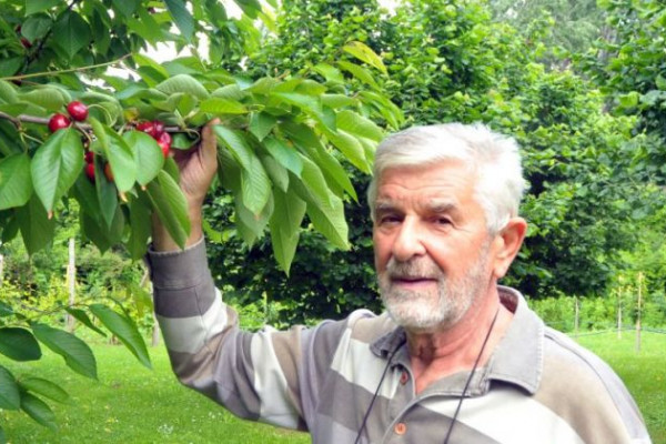 Penzionisani profesor iz Trnjaka vrstan voćar