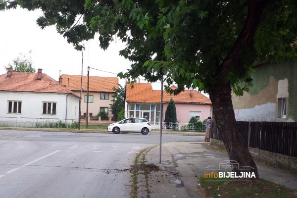 Opasan prizor u Bijeljini, znak STOP postavili iza krošnje