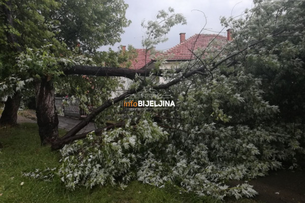 Nevrijeme u Bijeljini: Vjetar lomio stabla i poskidao crijep