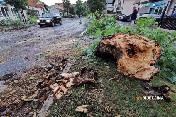 Bijeljina: Pogledajte posljedice današnjeg nevremena, vjetar lomio stabla, skidao crijep sa krovova /FOTO/