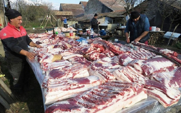 Uzgajivač prasića iz Gornje Čađavice: Čvarci 25 maraka, za tovljenika treba i do 1.000 KM
