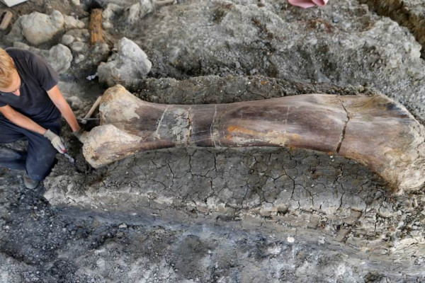 Ogromna kost dinosaurusa pronađena na jugozapadu Francuske