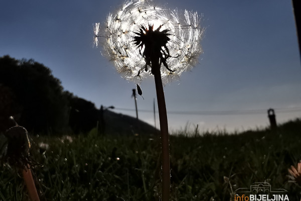 Upozorenje meteorologa: Oprez zbog veoma visokih temperatura