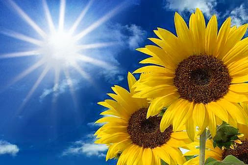 I sutra toplo: Temperatura do 36 stepeni po Celzijusu