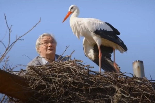 TUŽAN KRAJ NAJPOZNATIJIH RODA Uginuo Klepetan, Malena ostala sama