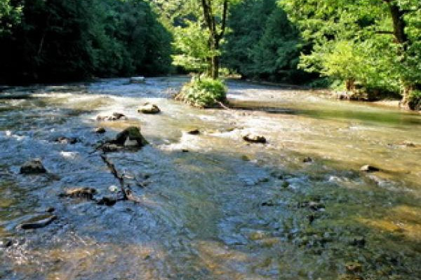 Milići: Utopio se nepoznati muškarac