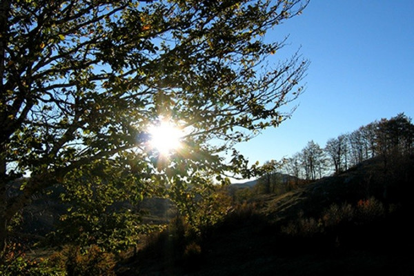 Danas sunčano i toplo, temperatura do 28 stepeni