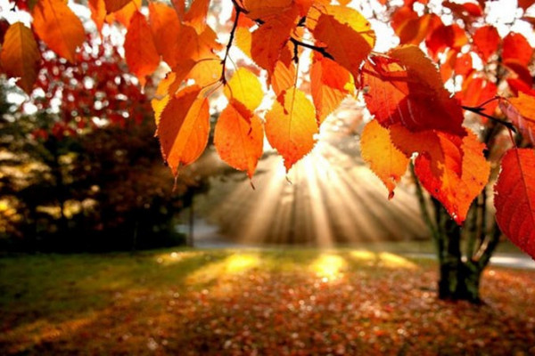 Danas sunčano, temperatura do 27 stepeni
