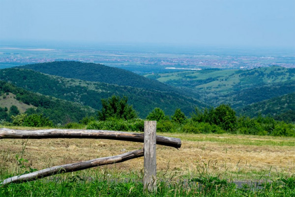 Pronađeno tijelo muškarca na Fruškoj Gori