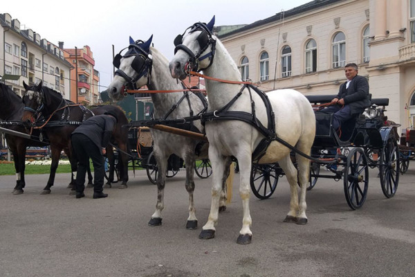 Na Mitrovdanskom vašaru za svakog ponešto