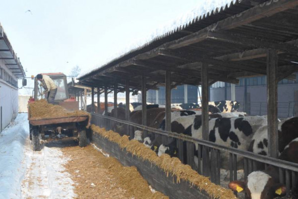 Šaroviću dat rok od sedam dana ili farmeri izlaze na ulicu