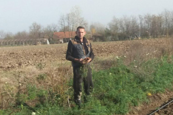 Treća generacije Hadžića iz Janje u poljoprivredi: Povrće ekstra kvaliteta, ali nemaju ga kome prodati