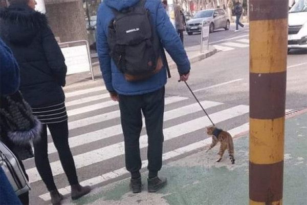 Ova fotografija je izazvala buru na Facebooku