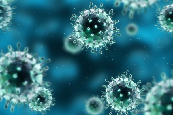 Šta su virusi, kako su nastali i šta čine ljudskom organizmu?