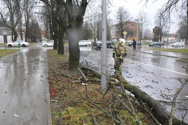 Jako nevrijeme i u Prijedoru: Vjetar rušio stabla