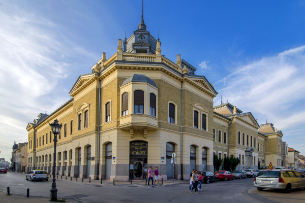 Matica Srpska slavi 193. rođendan