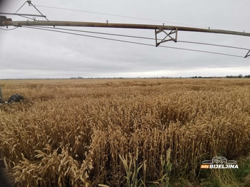 Savo Bakajlić: Podsticaji nisu isplaćeni (FOTO)