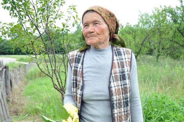 Kopriva je i hrana i lijek
