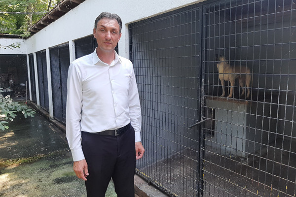 BRIGA O ŽIVOTINJAMA I DALJE UPITNA Nesavjesni vlasnici ostavljaju pse da lutaju ulicama Bijeljine