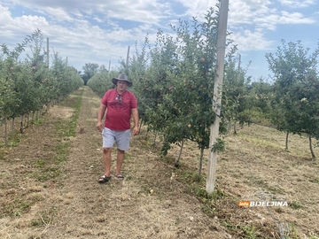 Semberski voćari sa decenijskim iskustvom ne pamte gore godine: Ulaganja rastu, cijene voća iste