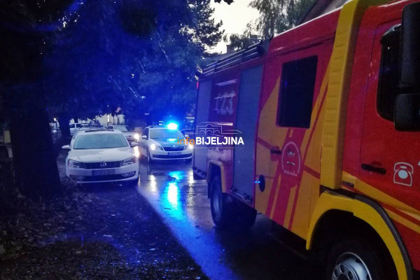 Bijeljina: Tokom nevremena DRVO PALO na taksi (FOTO)