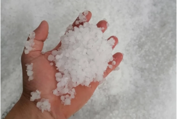 Nevjerovatan prizor iz Crne Gore: Djeca se sankaju usred avgusta (FOTO)