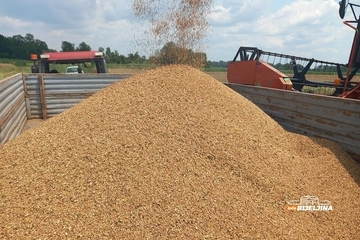 Oglasilo se Ministarstvo: Više od 11 miliona danas uplaćeno građanima Srpske