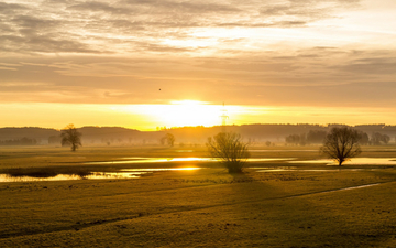 ALARMANTNO: Udvostručen broj stradalih u svijetu od ekstremnih temperatura i suša u 2022. godini