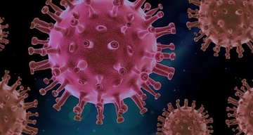 'Vraćeni' izbrisani podaci o korona virusu pojačali debate o njegovom porijeklu