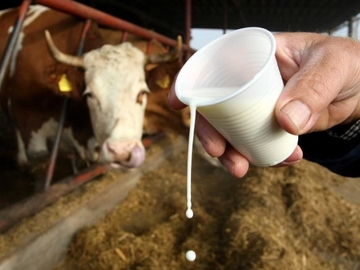 "Litar ne smije biti ispod 0,95 KM" Farmeri upozoravaju da bez povećanja otkupne cijene sirovog mlijeka neće opstati