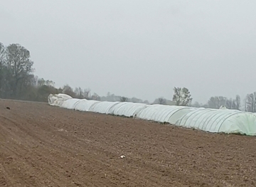 Olujno nevrijeme pogodilo sela u Semberiji (FOTO)
