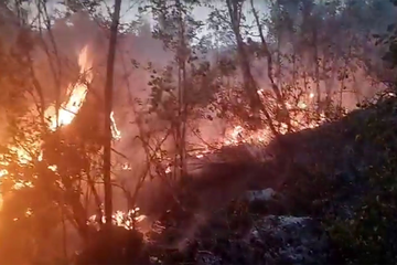Požari bjesne u Crnoj Gori: "Pomozite, jednostavno ne možemo"