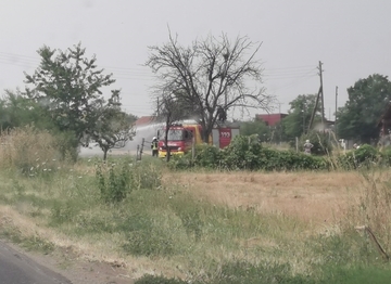 Požar u Patkovači, vatrogasci na terenu (FOTO)