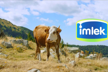 Srpski preduzetnici preuzimaju "Imlek" koji ima mljekaru i u BiH