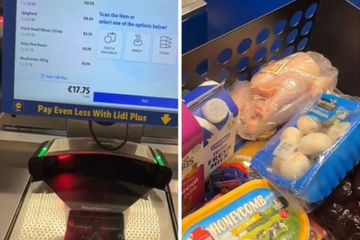 Pokazala šta je kupila u Irskoj za 18 evra: ‘Vidim zašto nam narod odlazi’ (VIDEO)