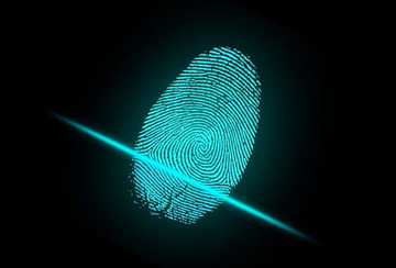 Zašto imamo otiske prstiju