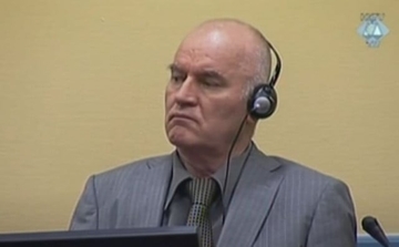 "Puštanje generala Pavkovića zbog bolesti daje nadu i za generala Mladića"