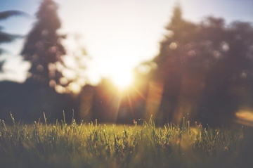 Sutra sunčano i veoma vruće: Temperatura do 37 stepeni
