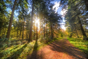 Danas pretežno sunčano i još toplije, TEMPERATURA DO 32 STEPENA