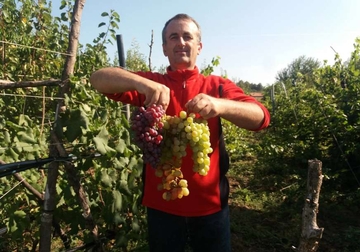 Kad “voće bogova” postane opsesija: Bijeljinac u Rusiji otkrio ljubav prema vinogradarstvu