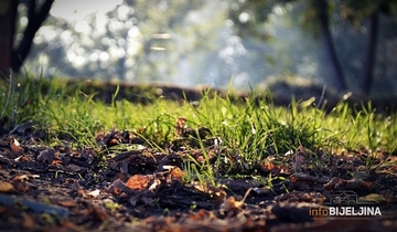 Sutra postepeno razvedravanje