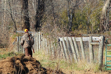 Ranjen lovac na Manjači