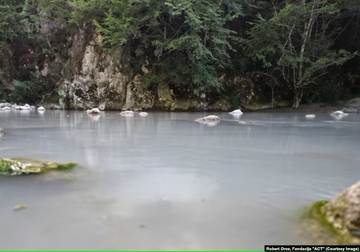 Ekološka kriza jedne od najčistijih rijeka u BiH, zbog gradnje hidroelektrane "Ulog": Neretva između mulja i života