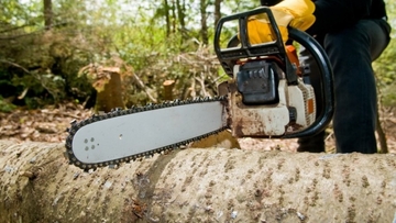 Muškarac poginuo prilikom sječe šume