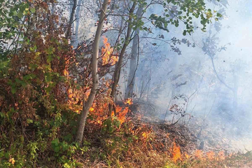 Gorjeli šuma, kuća i vikendica u Šekovićima