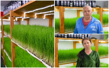 Ogromno interesovanje za sok od spelte: Proizvod supružnika iz Bijeljine pomaže kod brojnih zdravstvenih tegoba