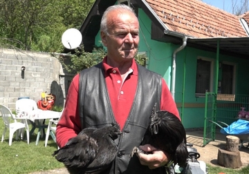 Mujo uzgaja najskuplje kokoške na svijetu: Vjeruje se da im meso pomaže kod najtežih bolesti