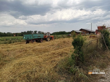 Žetva u Semberiji pri kraju, poljoprivrednici otkrili koju će cijenu žita tražiti (FOTO)