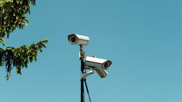 Neobična zvijer snimljena na granici Hrvatske i BiH