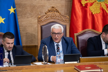 Propala smjena Andrije Mandića